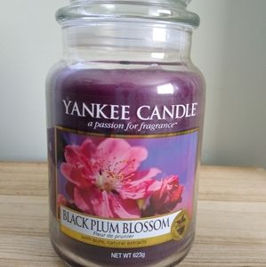 Yankee Candle Black Plum Blossom 22 oz Jar
